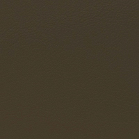 V[vXL@ꖇv